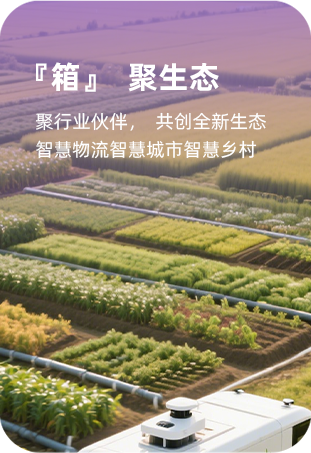 公司特色5